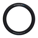 Schwalbe, Racing Ray, Tire, 29x2.25, Folding, Tubeless Ready, Addix Performance, 67TPI, Black