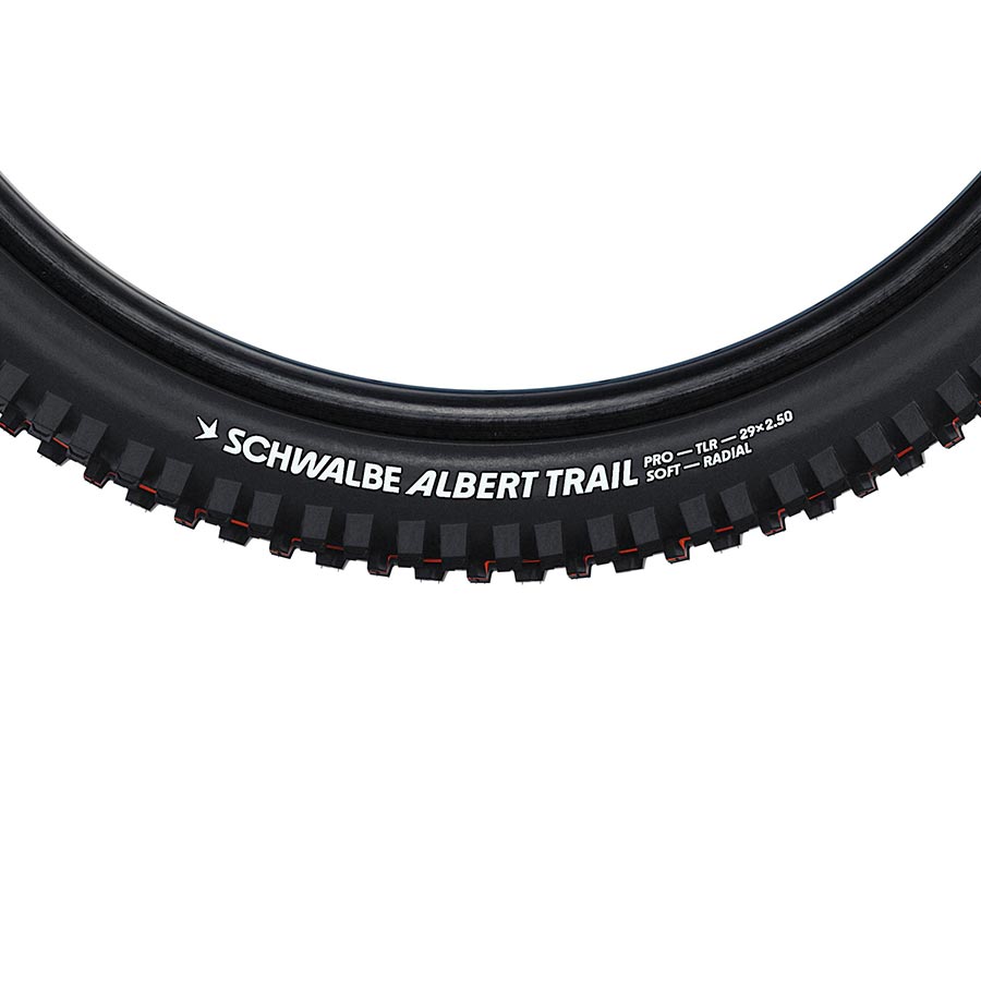 Pneumatici radiali: la rivoluzione di Schwalbe - MTB Magazine
