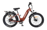 Tour S (15 Ah) Electric Bicycle