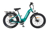 Tour S (15 Ah) Electric Bicycle